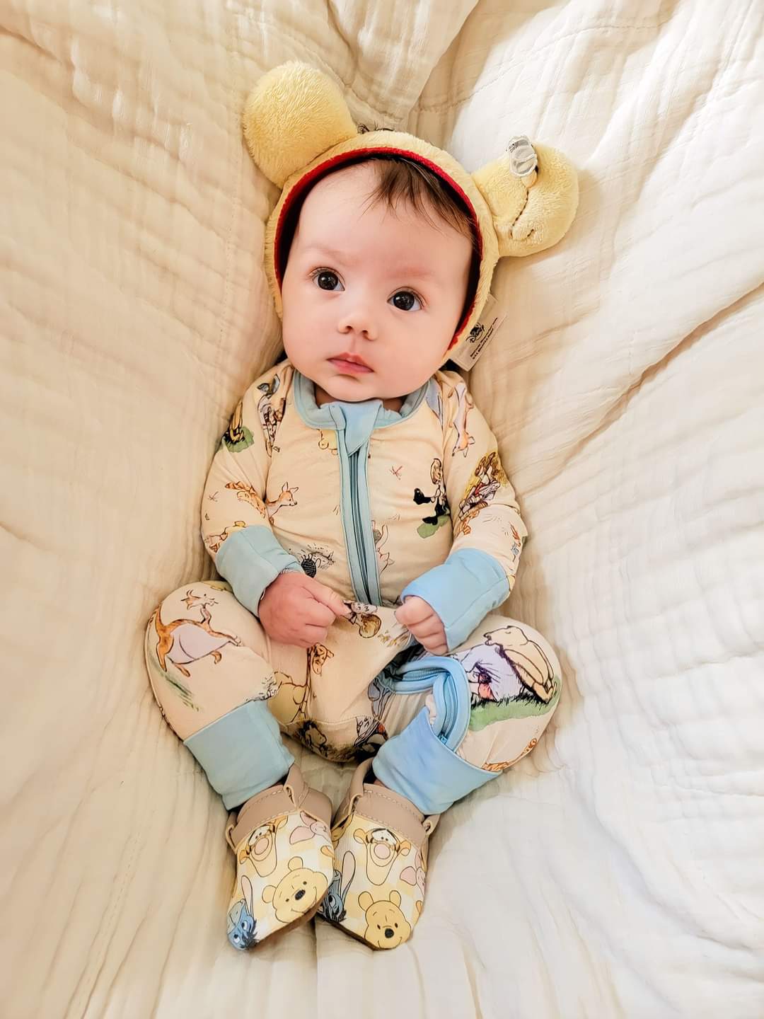Beary Best Friends (Classic Pooh) Zippy